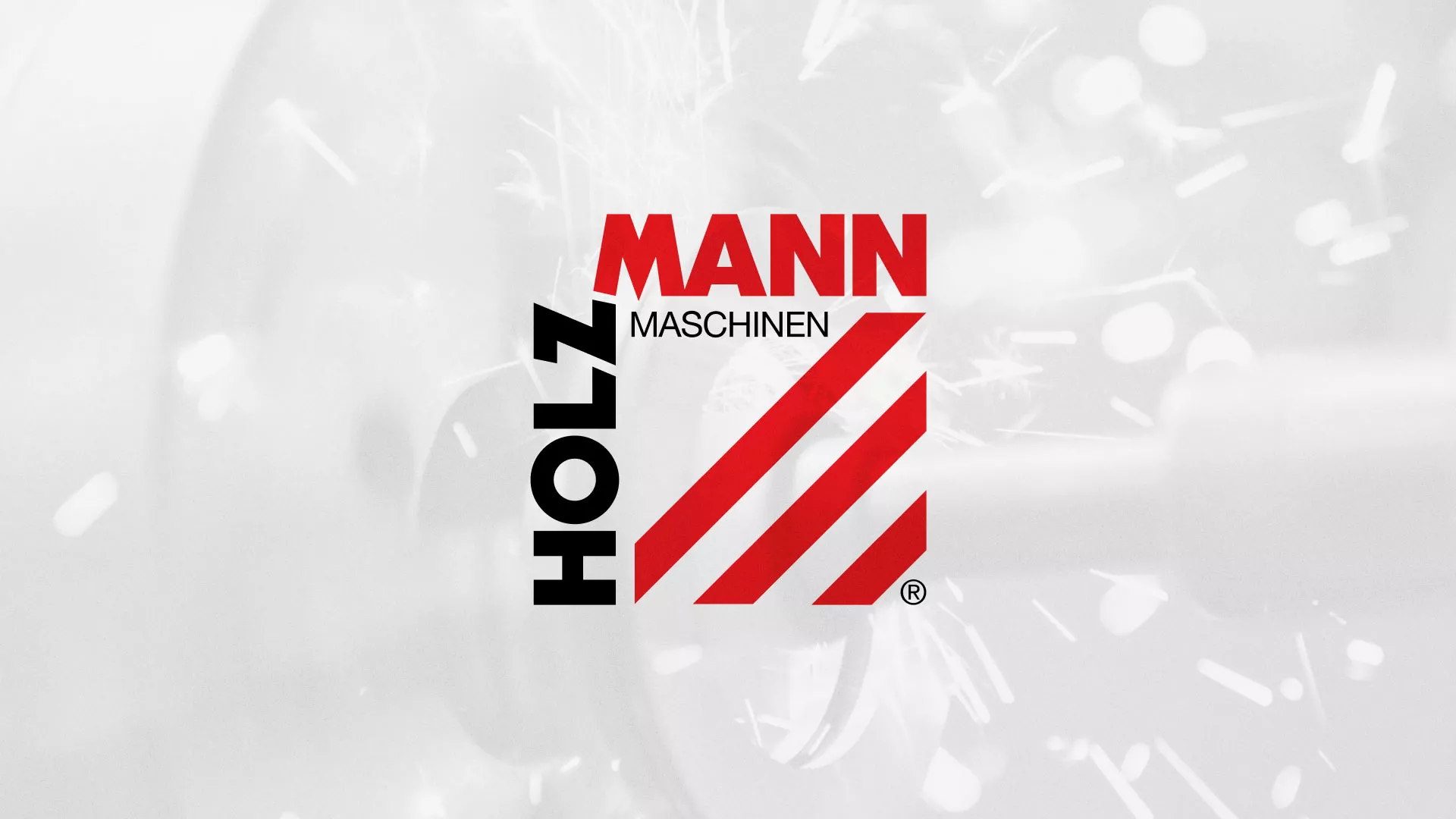 Создание сайта компании «HOLZMANN Maschinen GmbH» в Томмоте